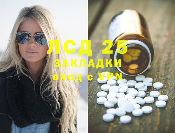прущие грибы Алексин