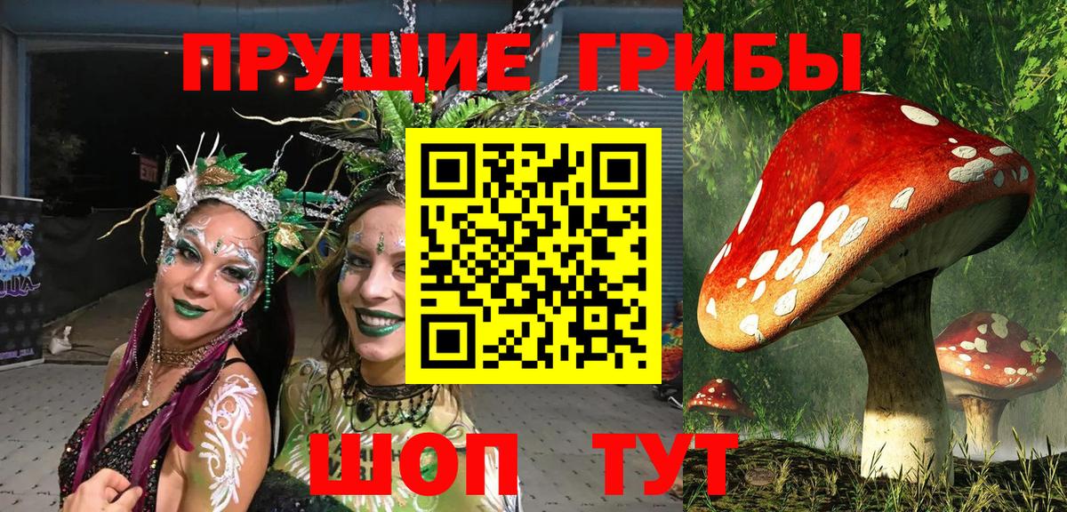Псилоцибиновые грибы мицелий Тавда