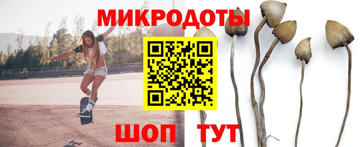 Тавда  Галлюциногенные грибы Psilocybine cubensis  Псилоцибиновые грибы мухоморы  Вход с VPN 